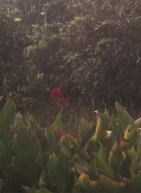 Returning to Myself II