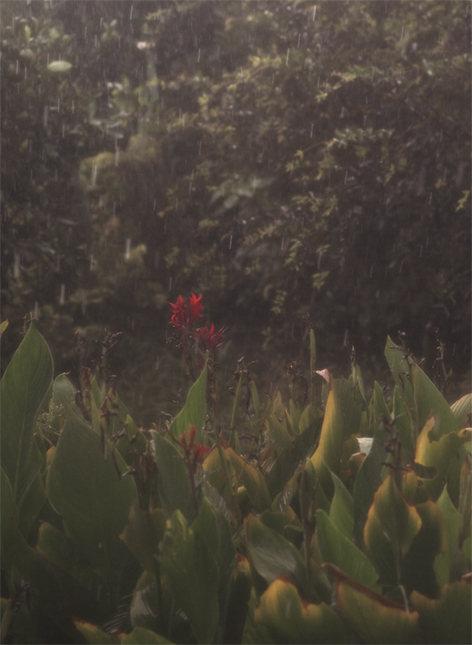 Returning to Myself II